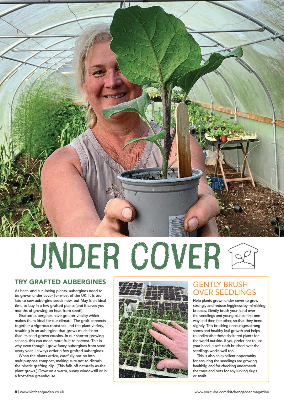 Kitchen Garden Magazine Preview Pages