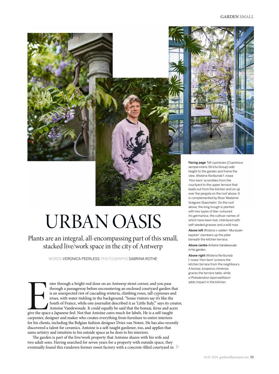 Gardens Illustrated Preview Pages