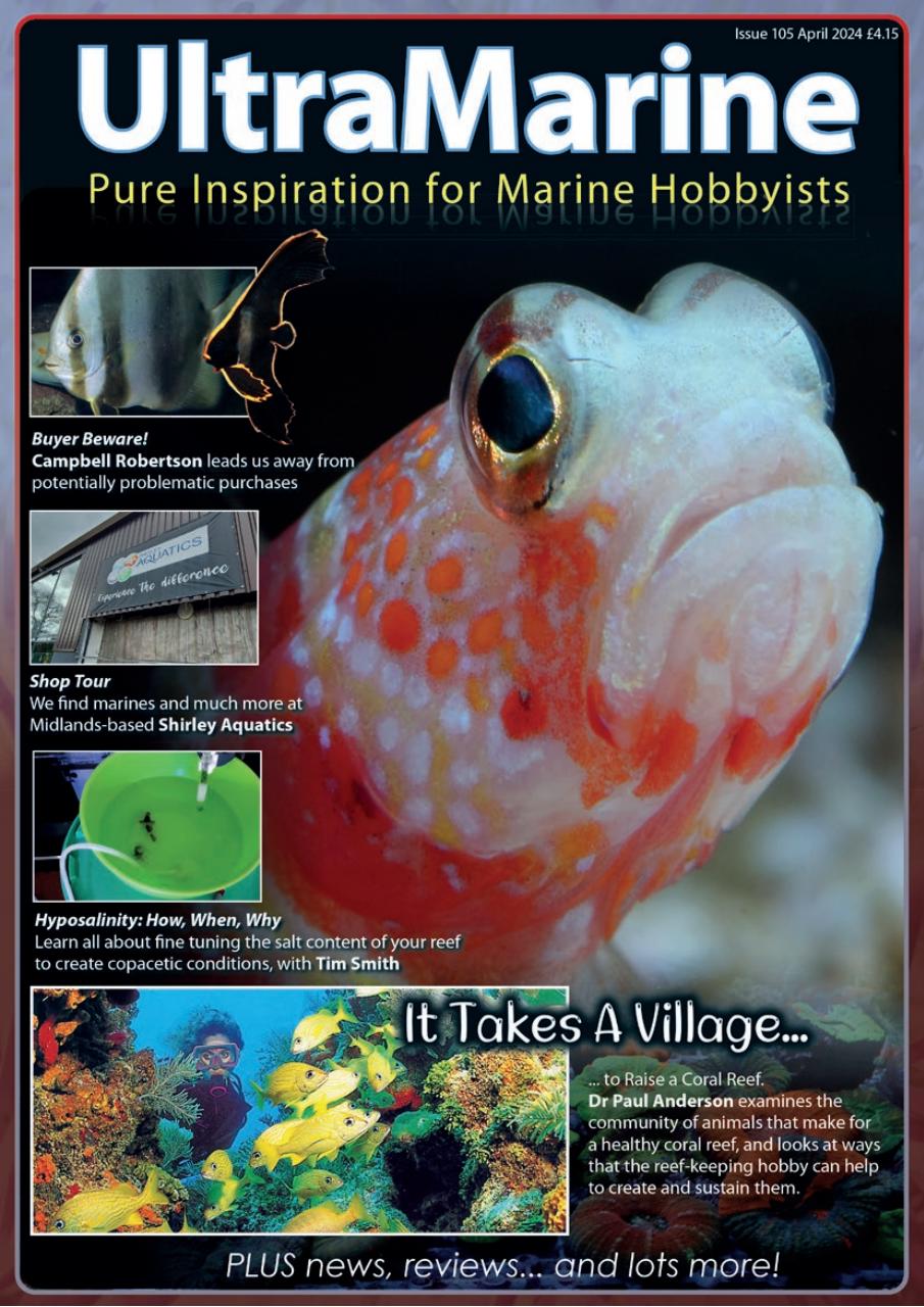 UltraMarine Magazine Preview Pages