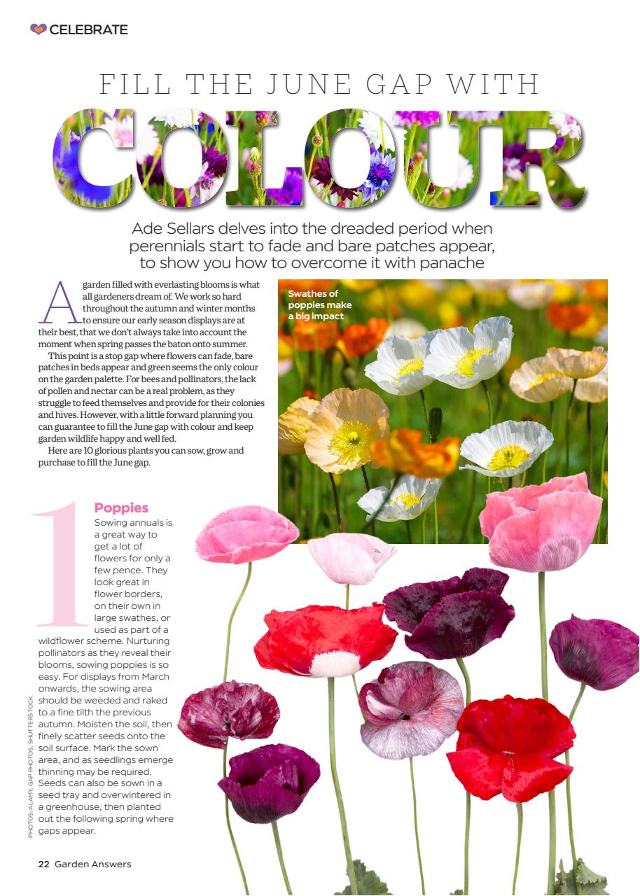 Garden Answers Preview Pages