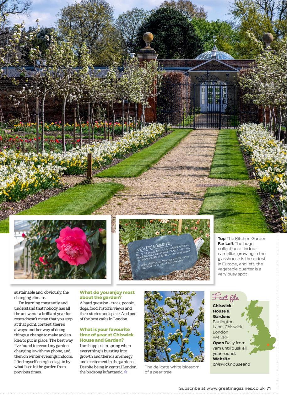 Garden Answers Preview Pages