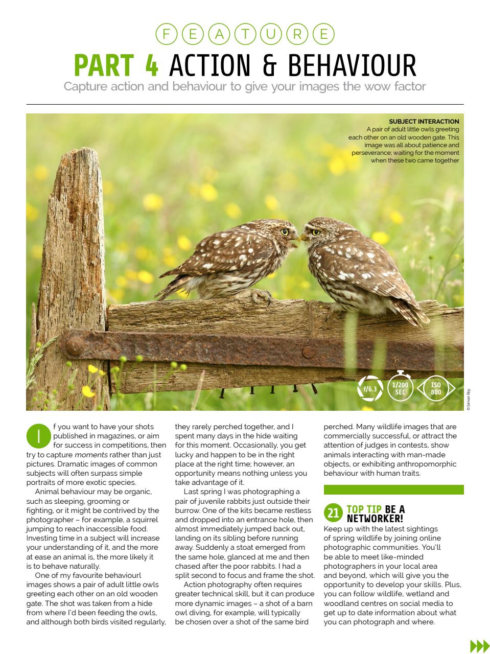 Photography Week Preview Pages