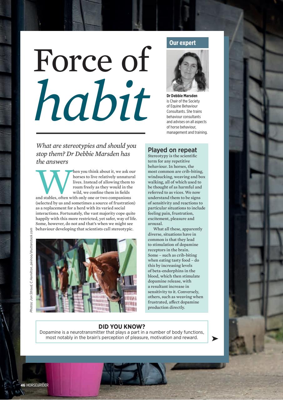 Horse&Rider Magazine - UK equestrian magazine for Horse and Rider Preview Pages
