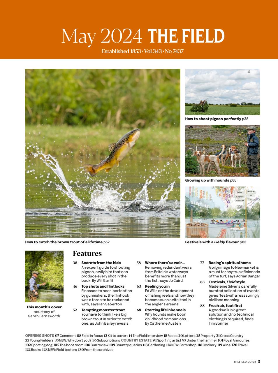 The Field Preview Pages