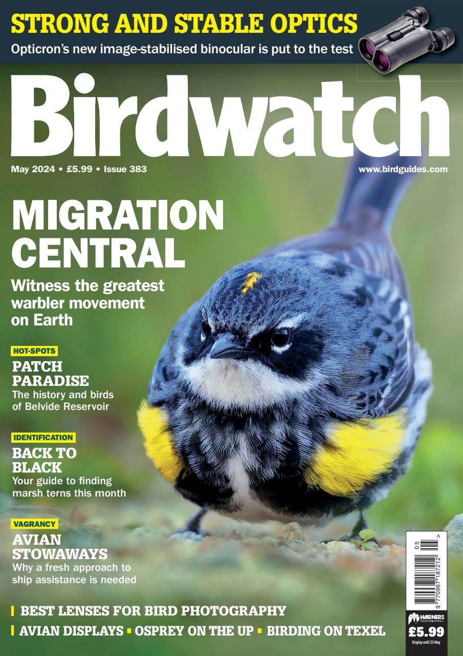 Birdwatch Magazine - May 2024 Back Issue