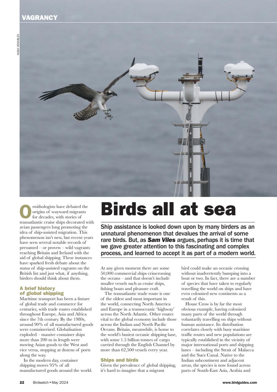 Birdwatch Magazine Preview Pages