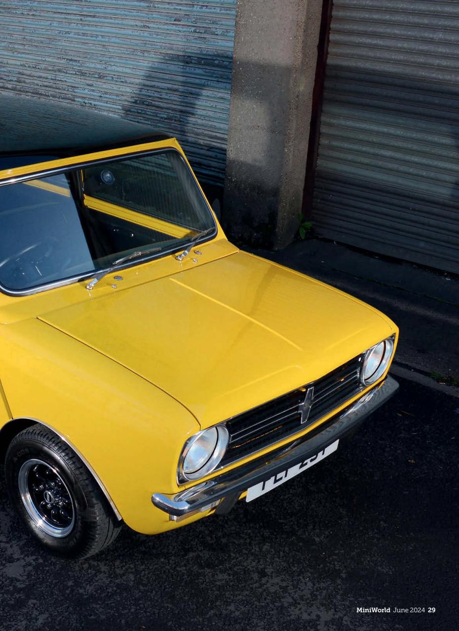 Mini World Preview Pages