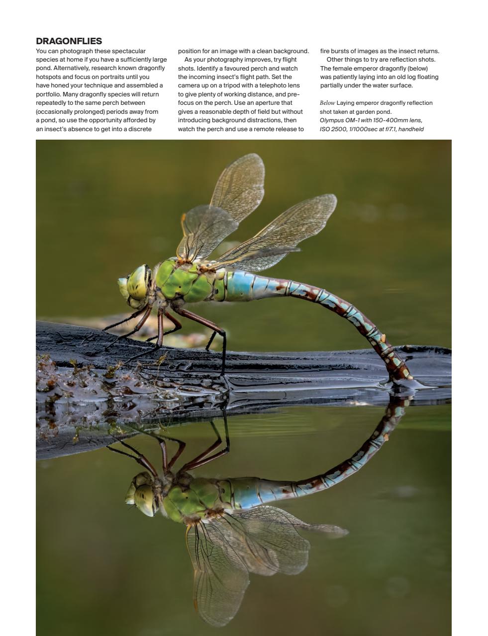 Outdoor Photography Preview Pages