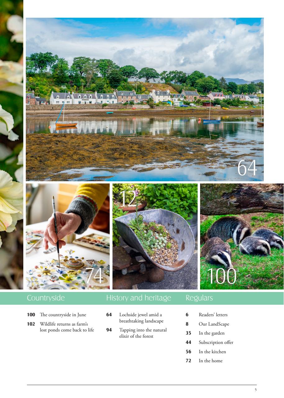 LandScape Preview Pages