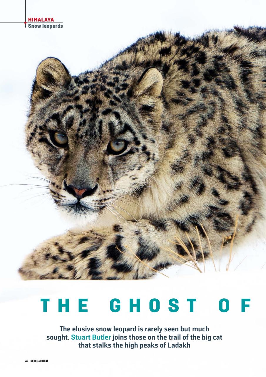 Geographical Preview Pages