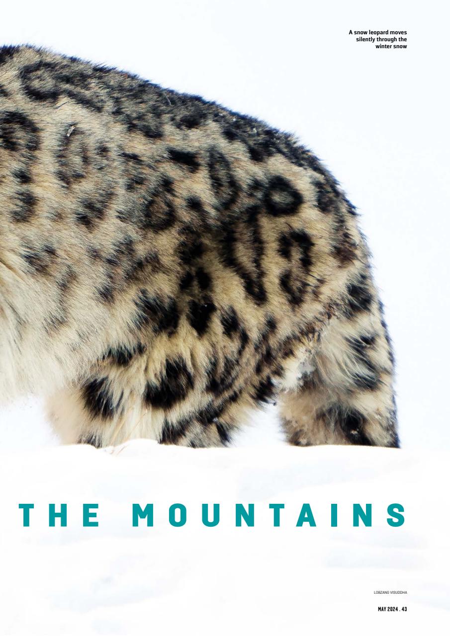 Geographical Preview Pages