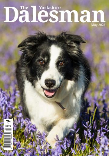 The Yorkshire Dalesman issue 