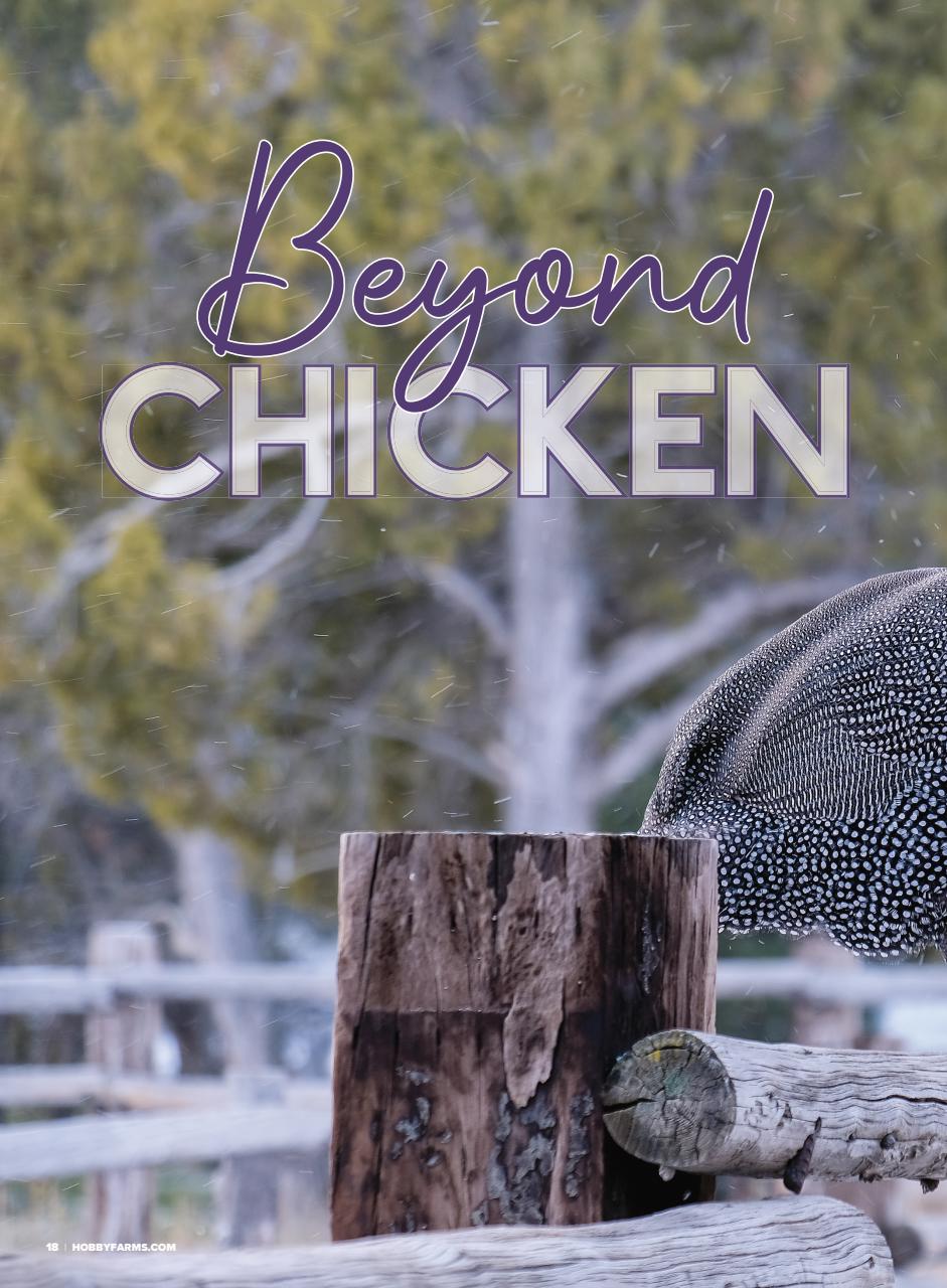 Hobby Farms Magazine Preview Pages