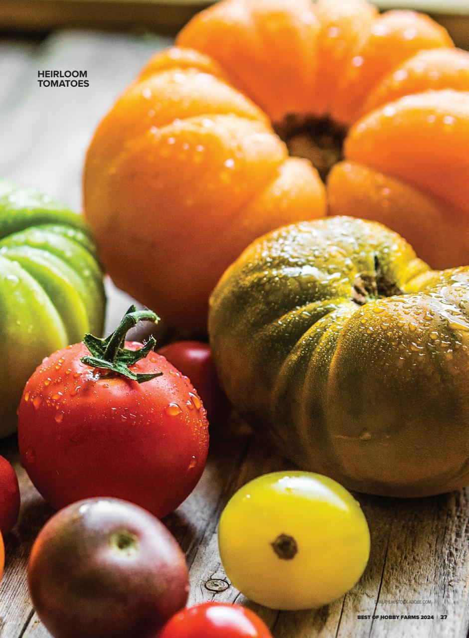 Hobby Farms Magazine Preview Pages