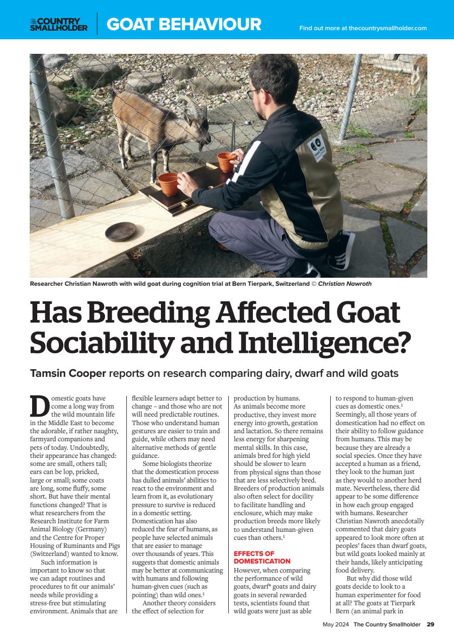 The Country Smallholder Preview Pages