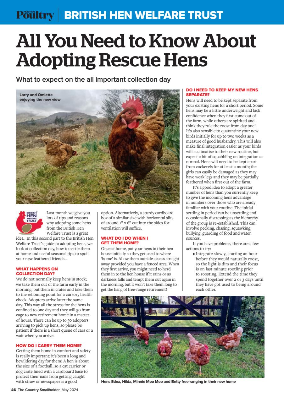 The Country Smallholder Preview Pages