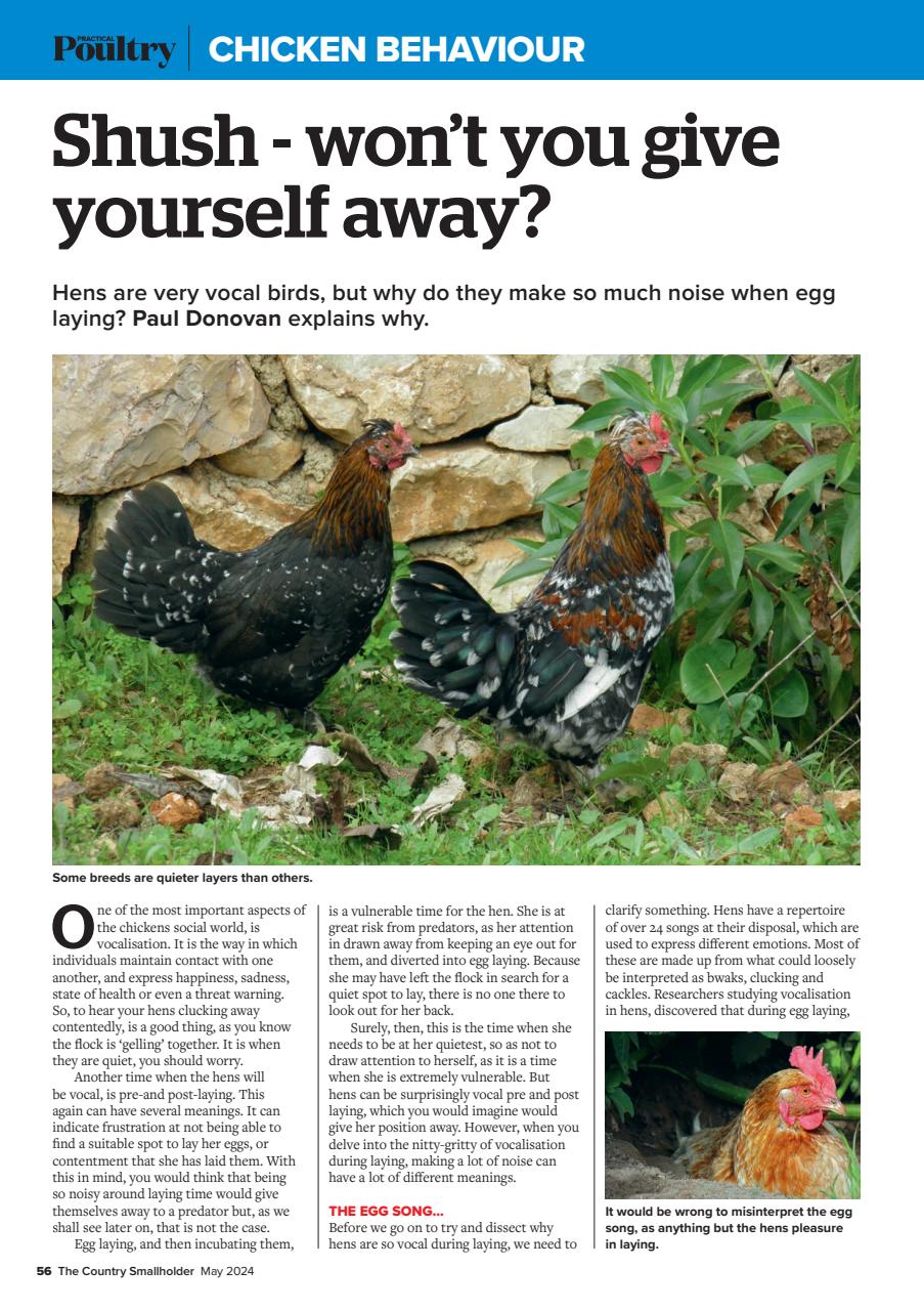 The Country Smallholder Preview Pages