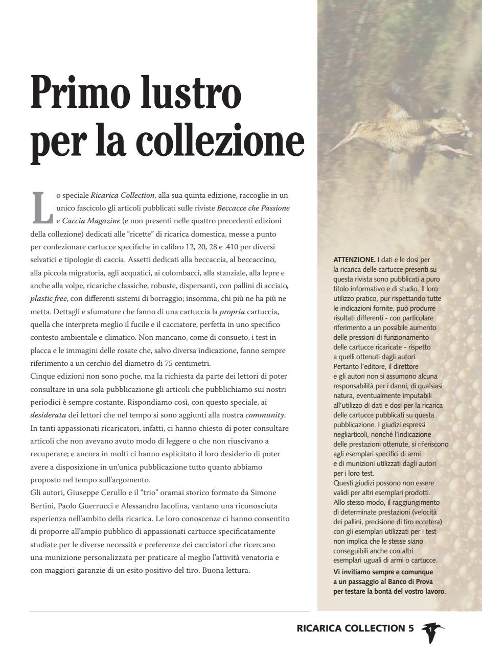 BECCACCE CHE PASSIONE Preview Pages