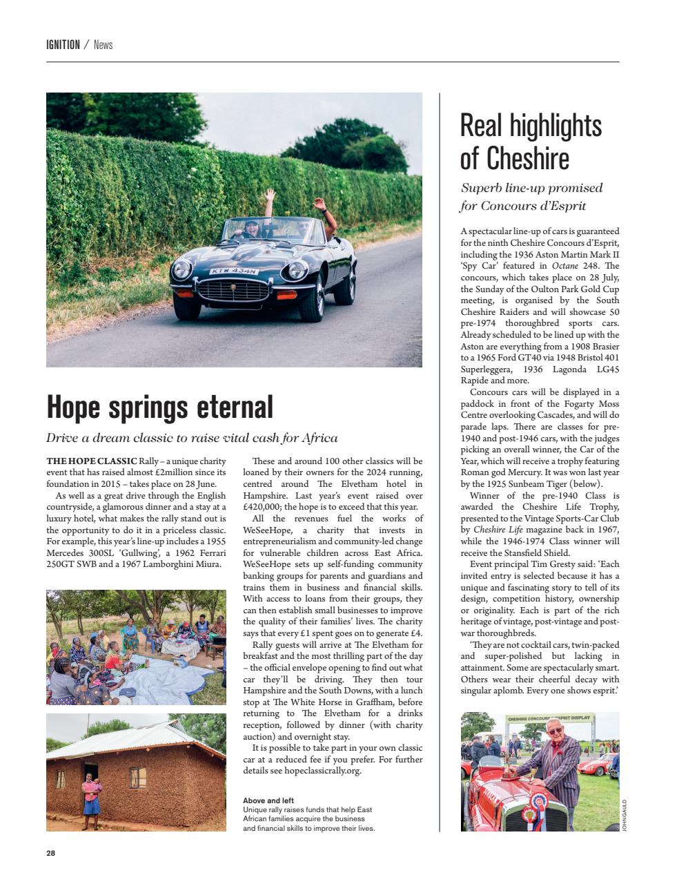 Octane Preview Pages