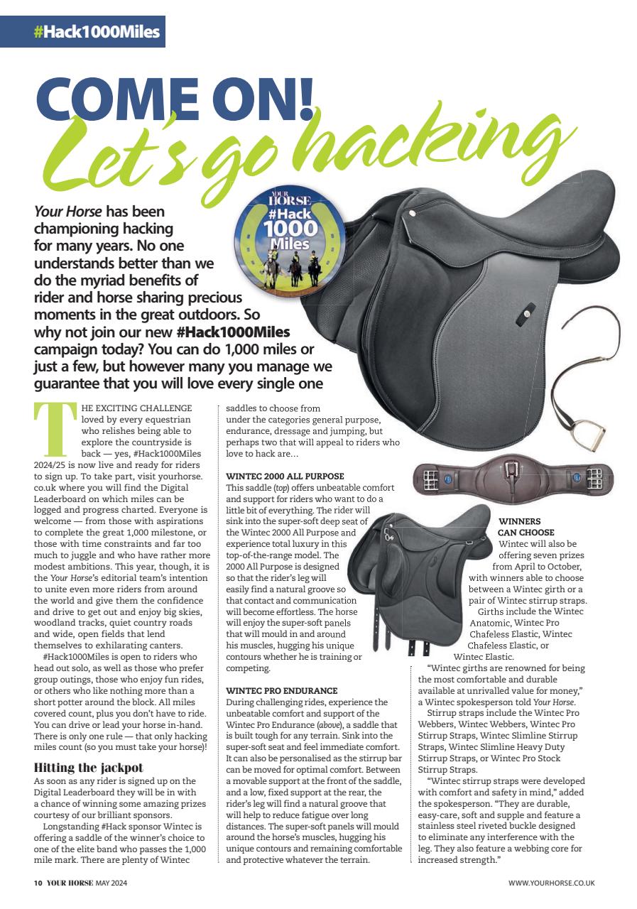 Your Horse Preview Pages