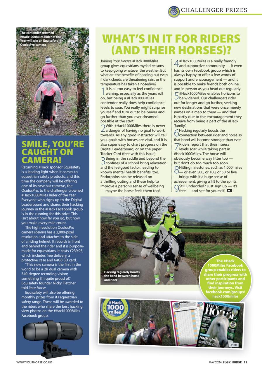 Your Horse Preview Pages