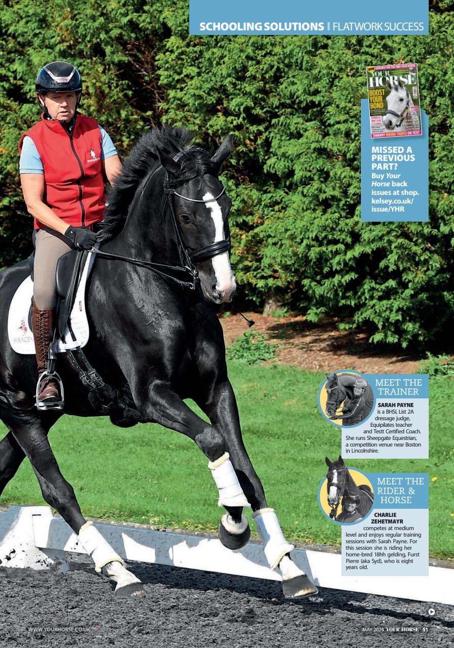 Your Horse Preview Pages