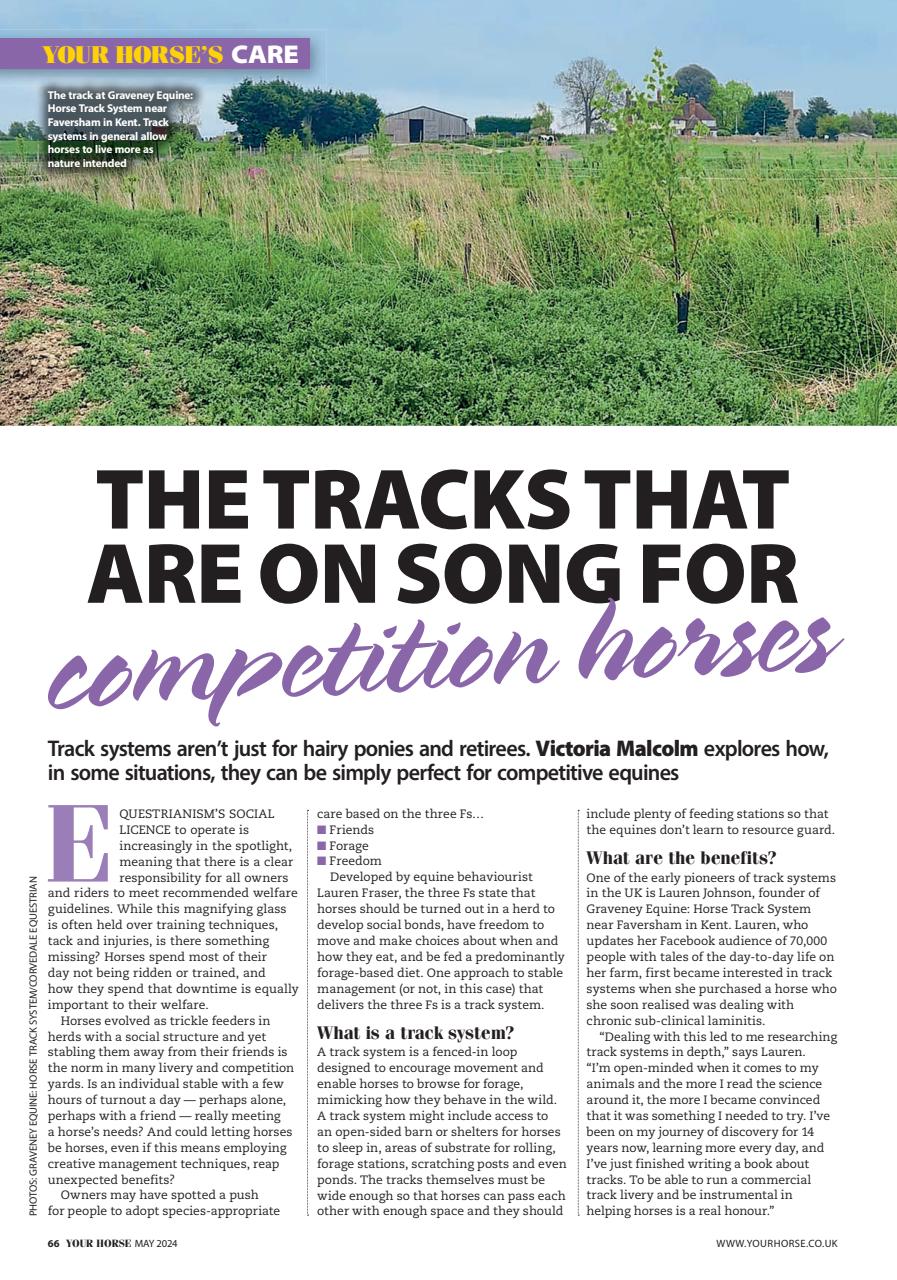 Your Horse Preview Pages