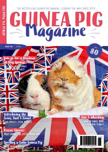 Guinea Pig Magazine issue 