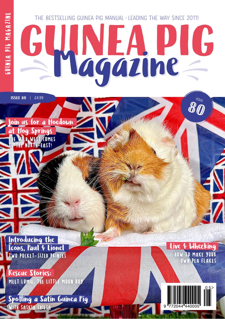 Guinea Pig Magazine Preview Pages