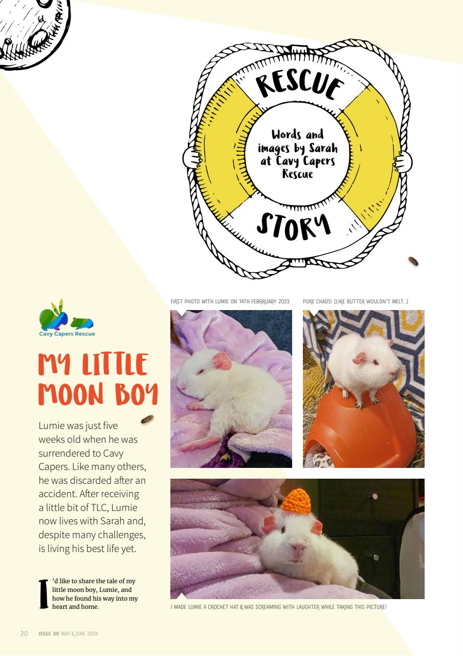 Guinea Pig Magazine Preview Pages