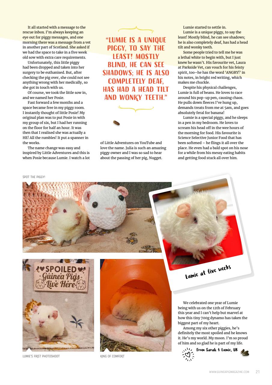 Guinea Pig Magazine Preview Pages