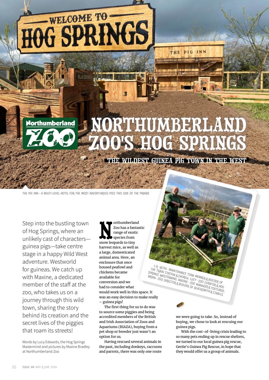 Guinea Pig Magazine Preview Pages