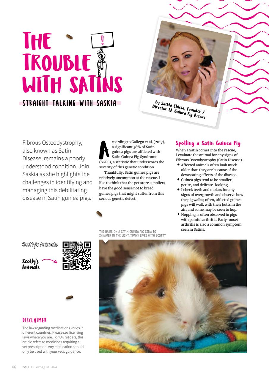Guinea Pig Magazine Preview Pages