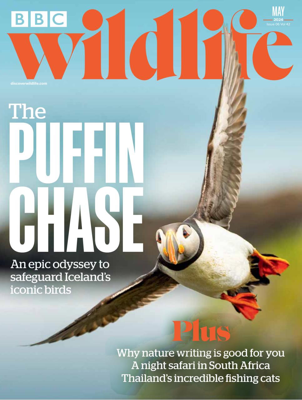 BBC Wildlife Magazine Preview Pages
