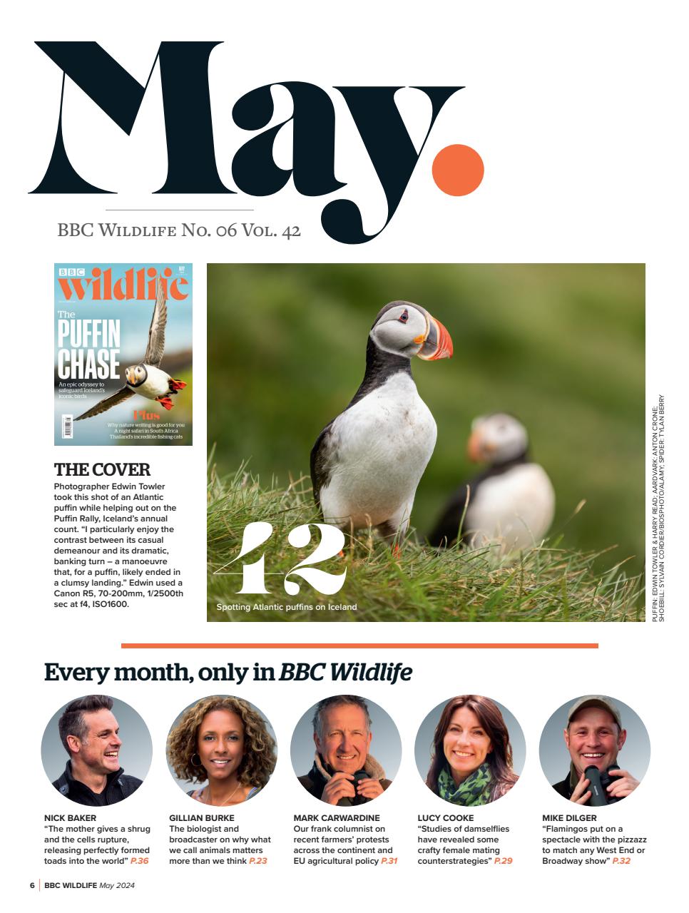 BBC Wildlife Magazine Preview Pages