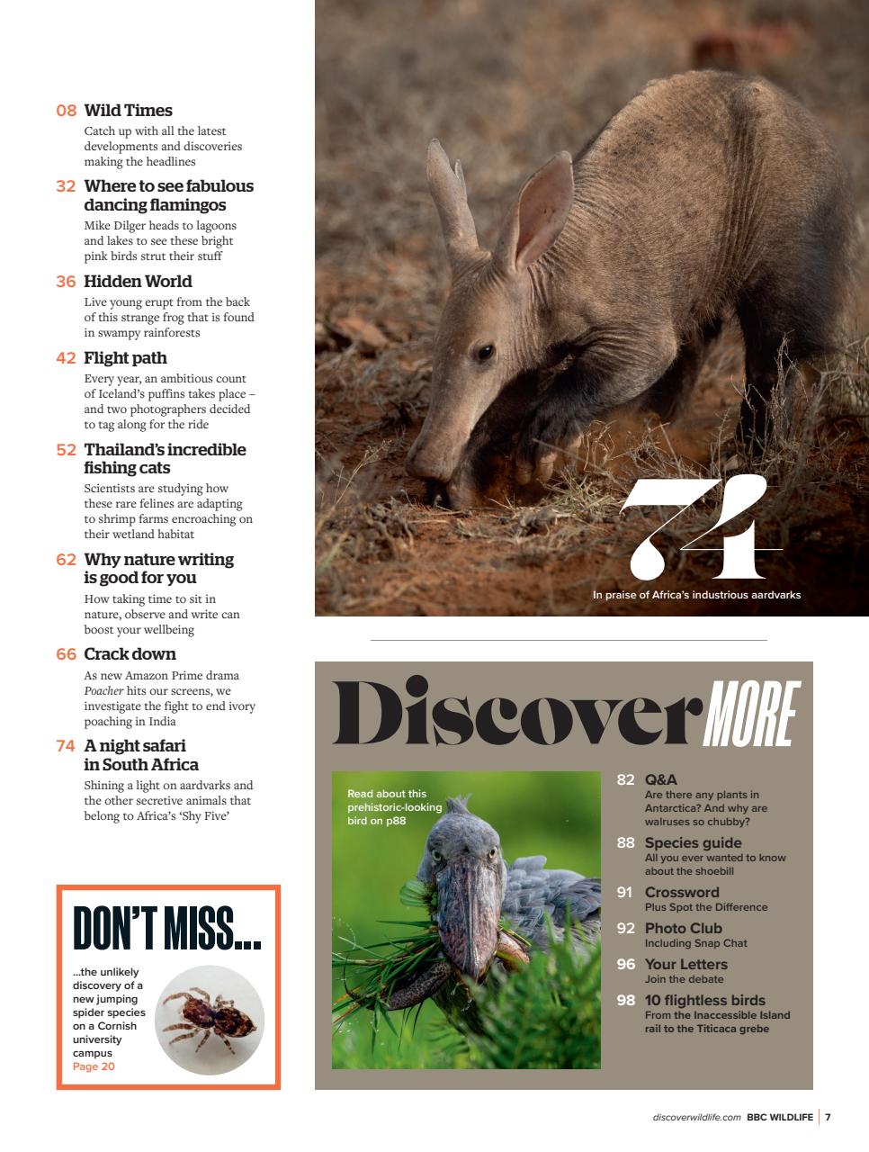 BBC Wildlife Magazine Preview Pages