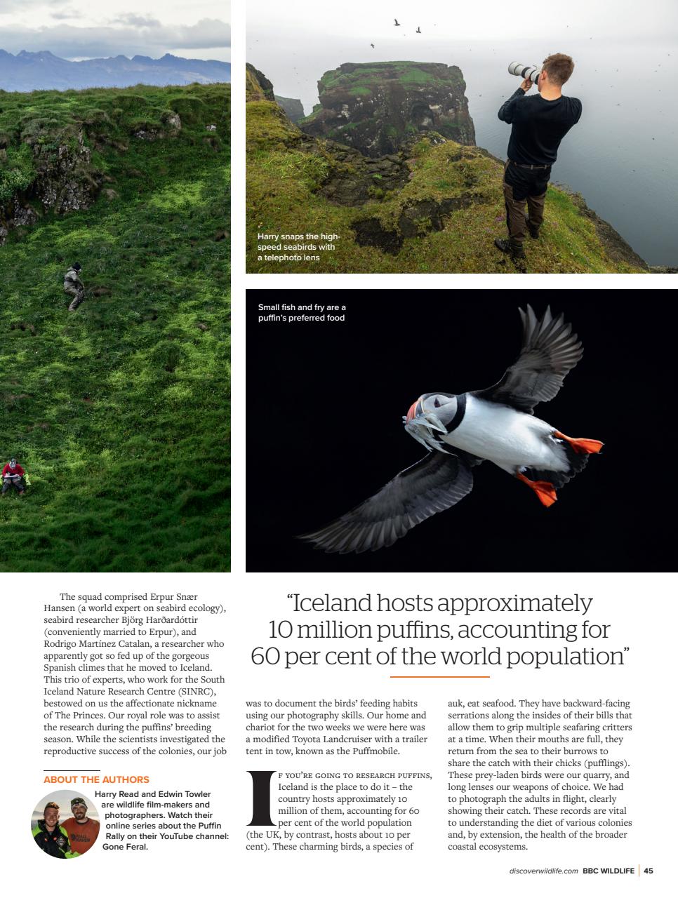 BBC Wildlife Magazine Preview Pages