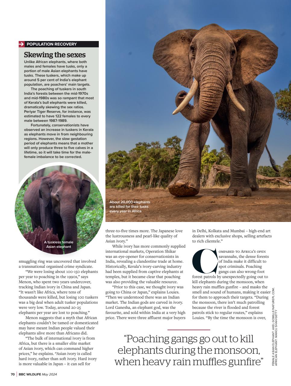 BBC Wildlife Magazine Preview Pages