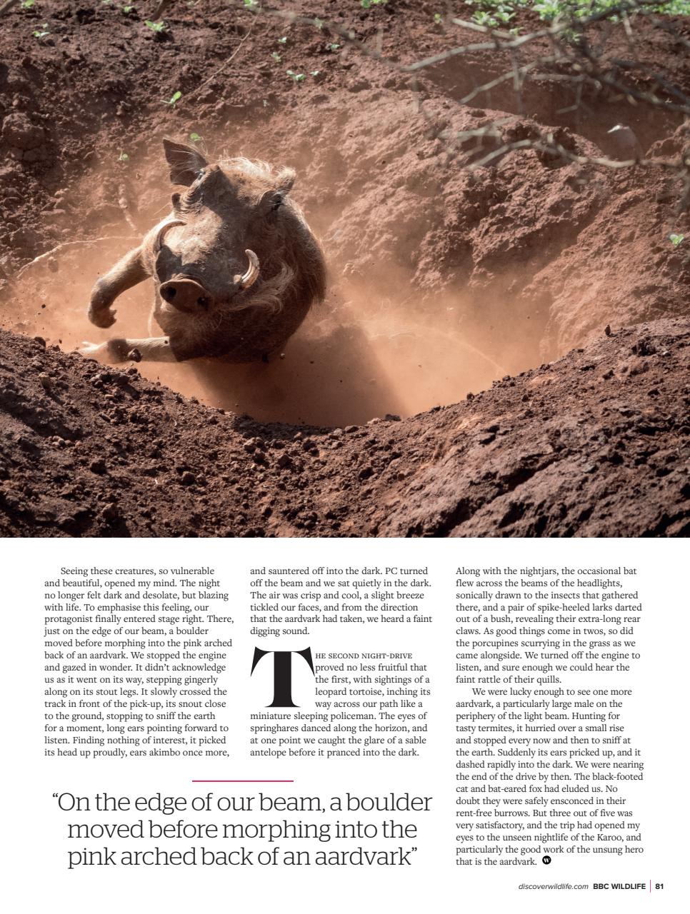 BBC Wildlife Magazine Preview Pages