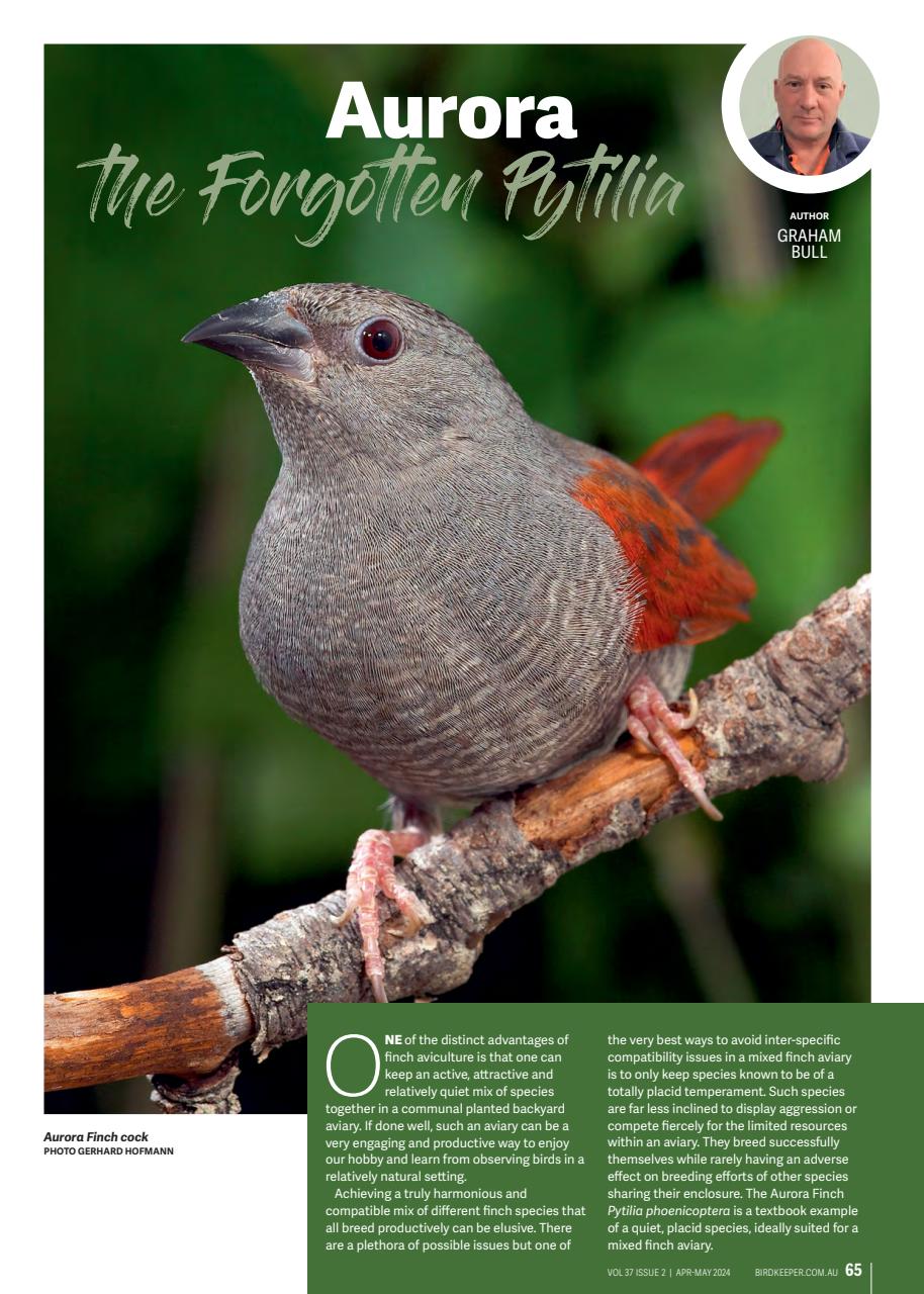 Australian Birdkeeper Magazine Preview Pages