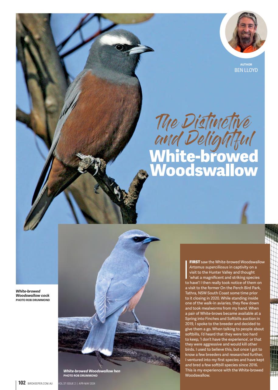 Australian Birdkeeper Magazine Preview Pages