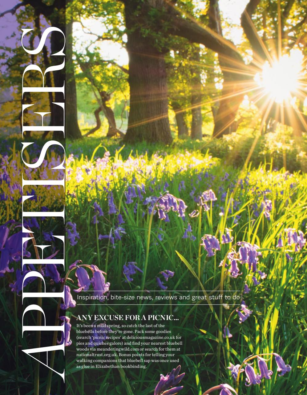 delicious. Magazine Preview Pages