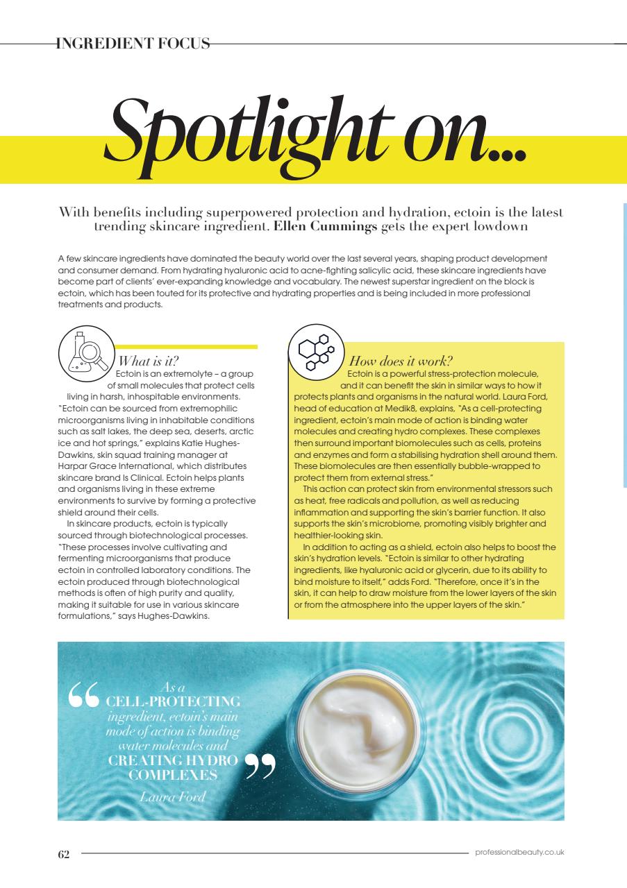 Professional Beauty Preview Pages