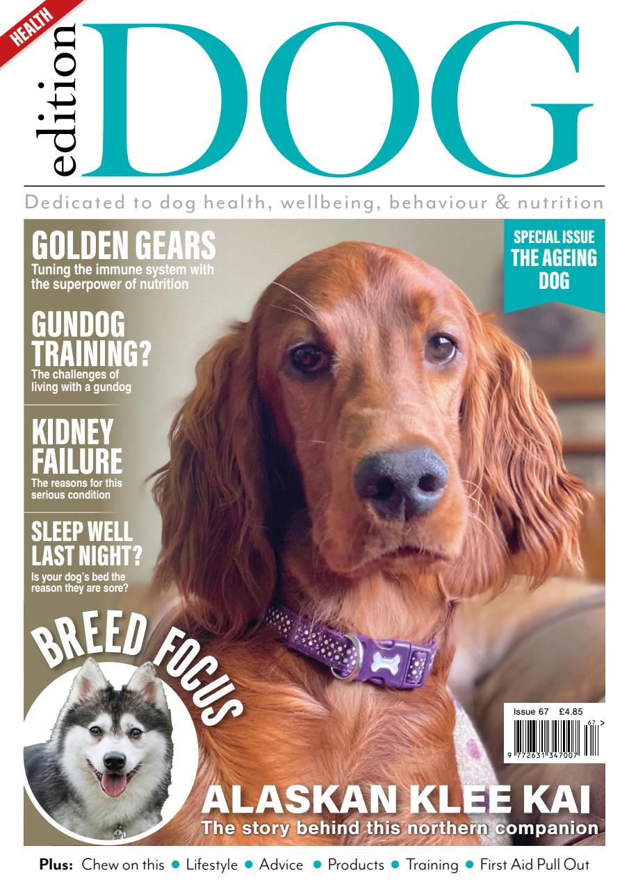 Edition Dog Preview Pages