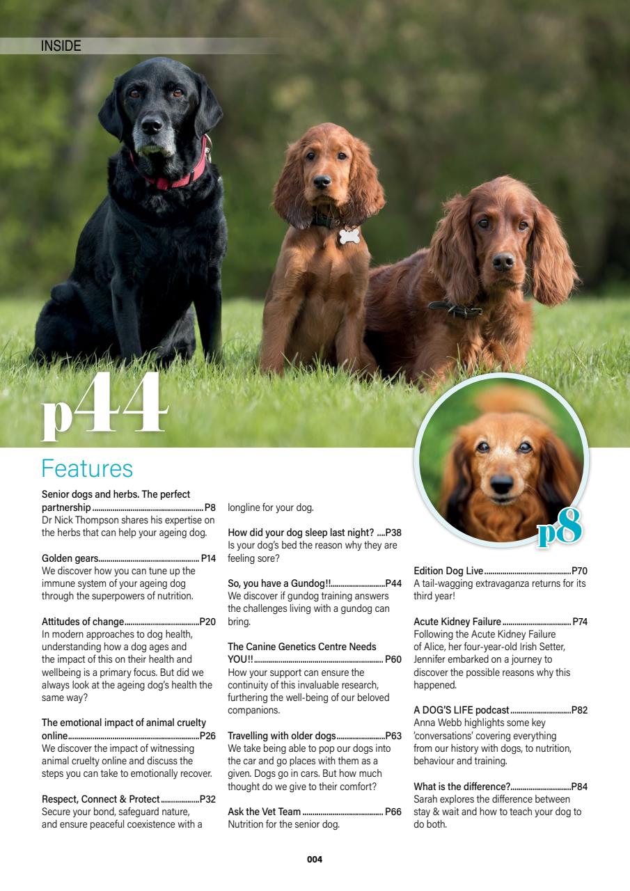 Edition Dog Preview Pages