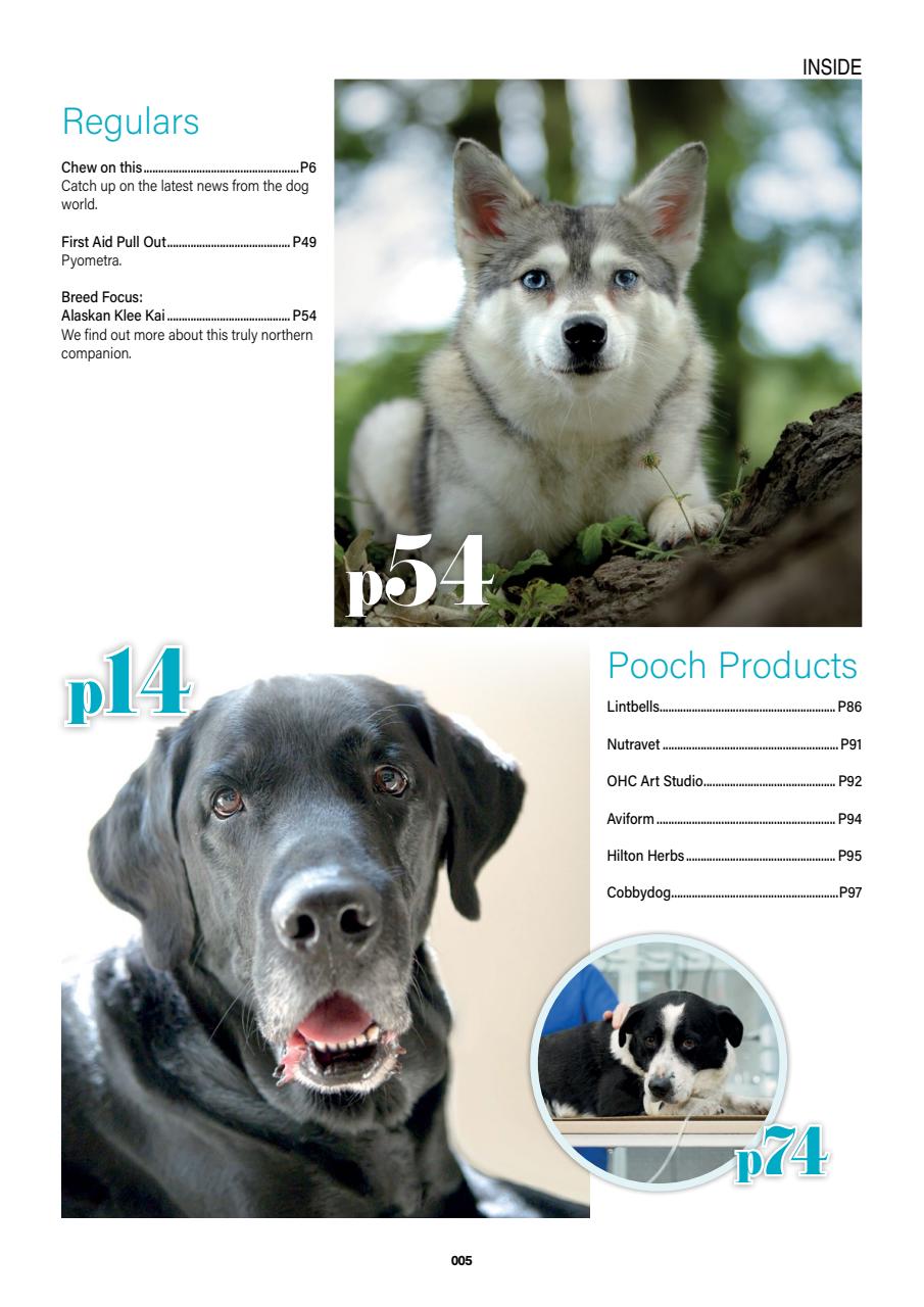 Edition Dog Preview Pages