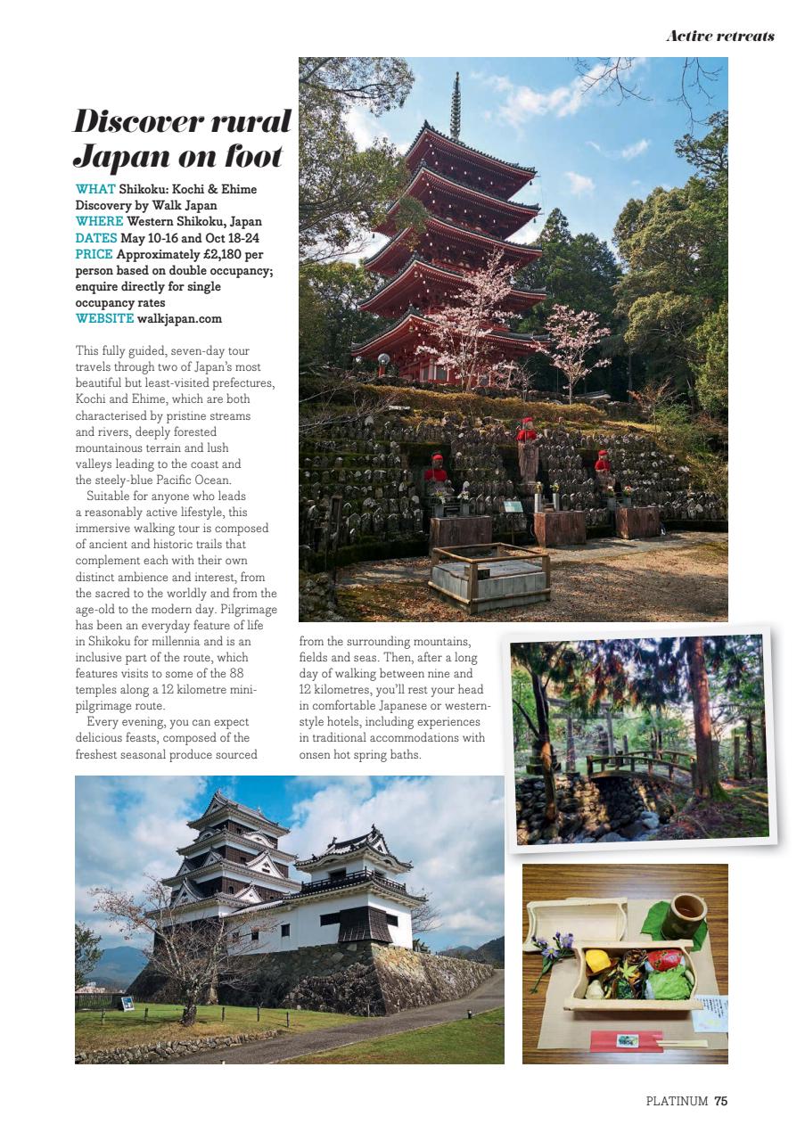 Platinum Preview Pages