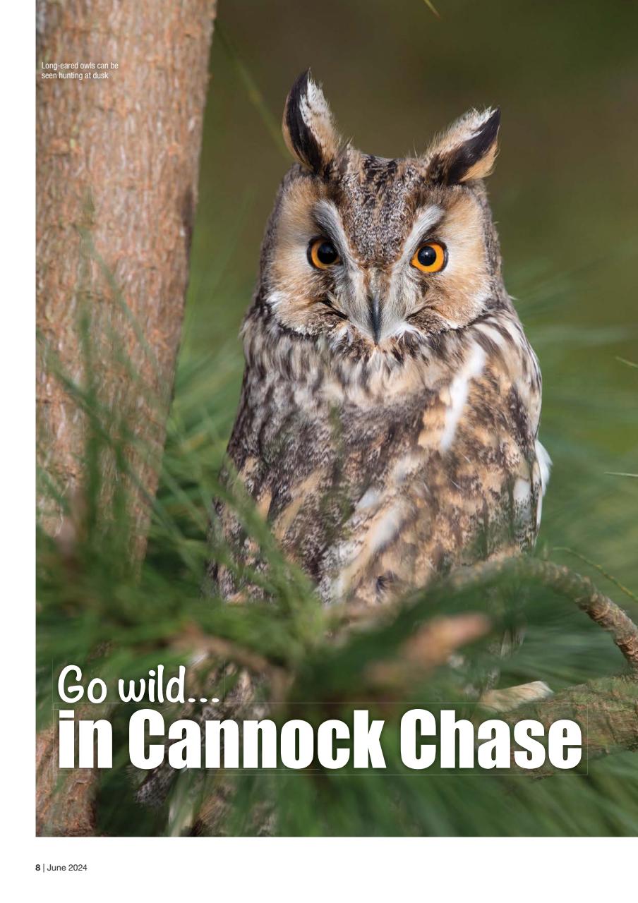 Caravan Magazine Preview Pages