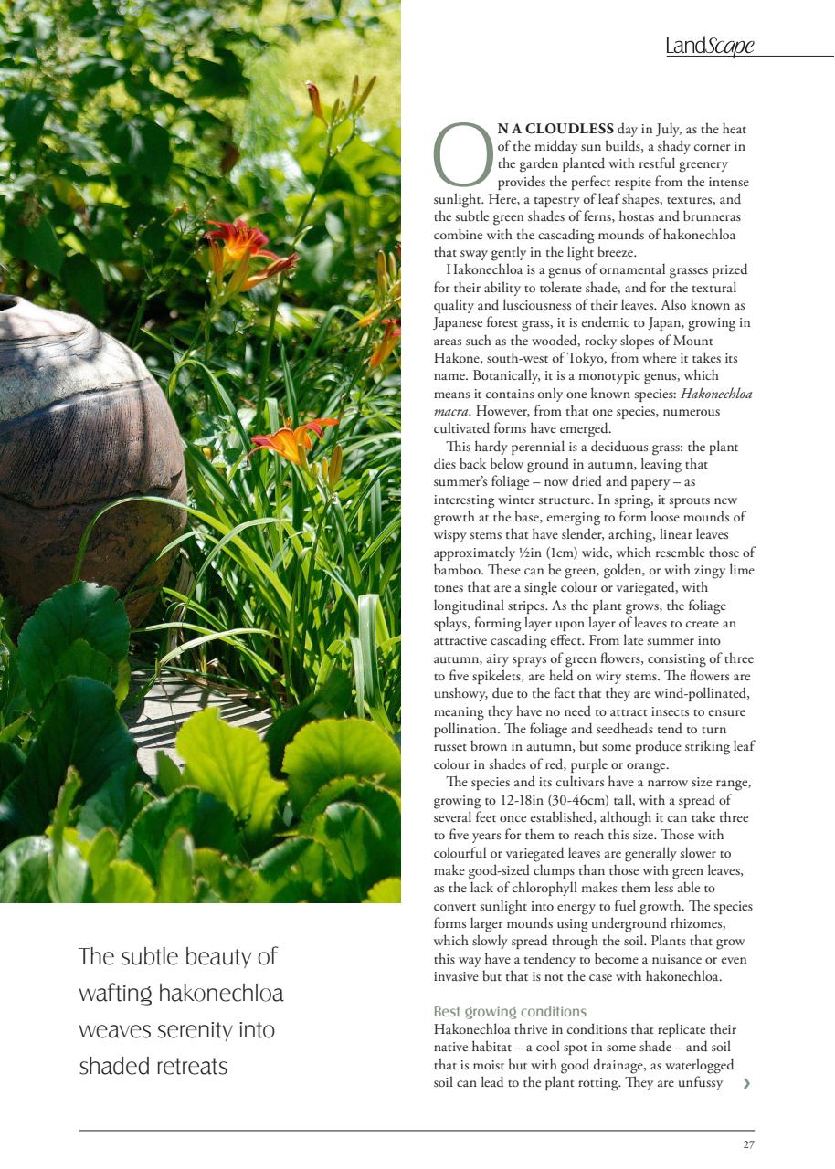 LandScape Preview Pages