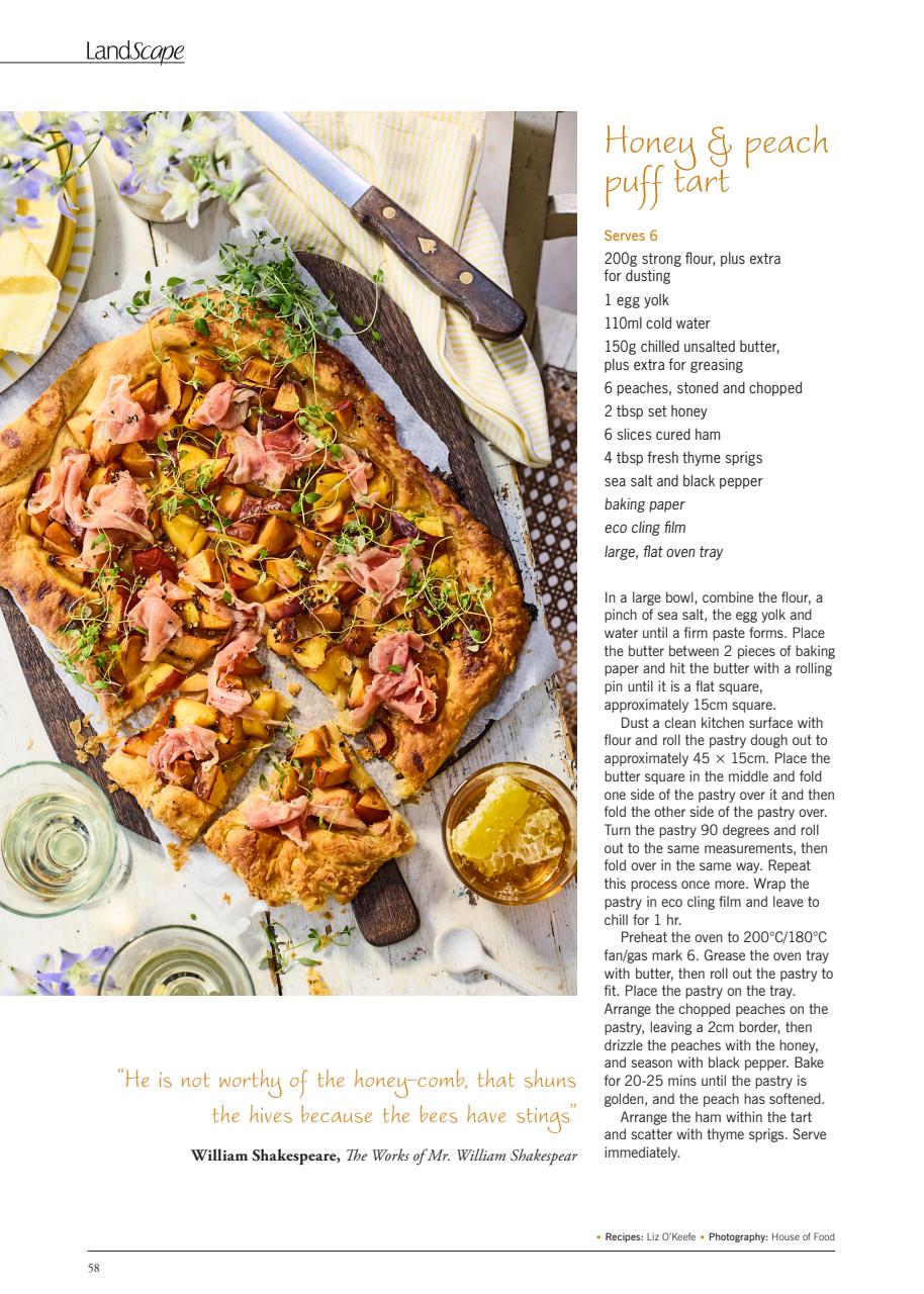 LandScape Preview Pages